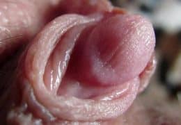 Extreme close up on my huge clit head pulsating